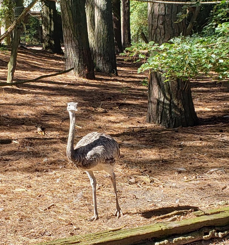Salisbury Zoo-索尔兹伯里必去景点