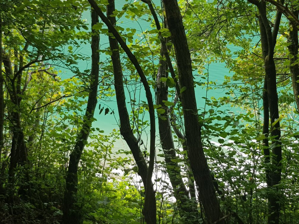 Lake Terlago景点图片