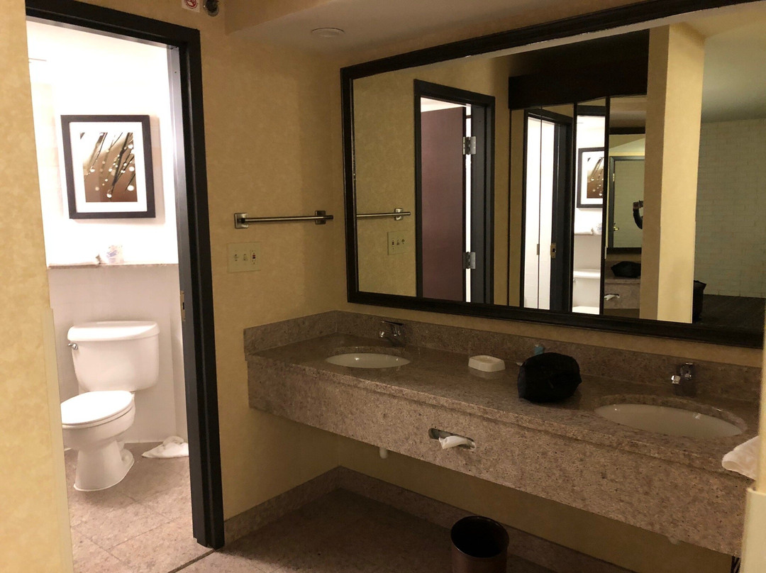 Drury Inn & Suites Birmingham Grandview主图