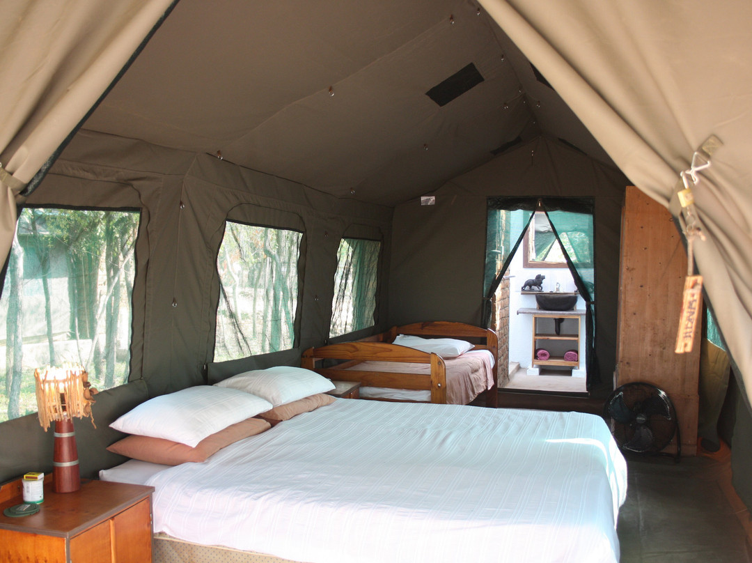 WARTHOGS SAFARI CAMP