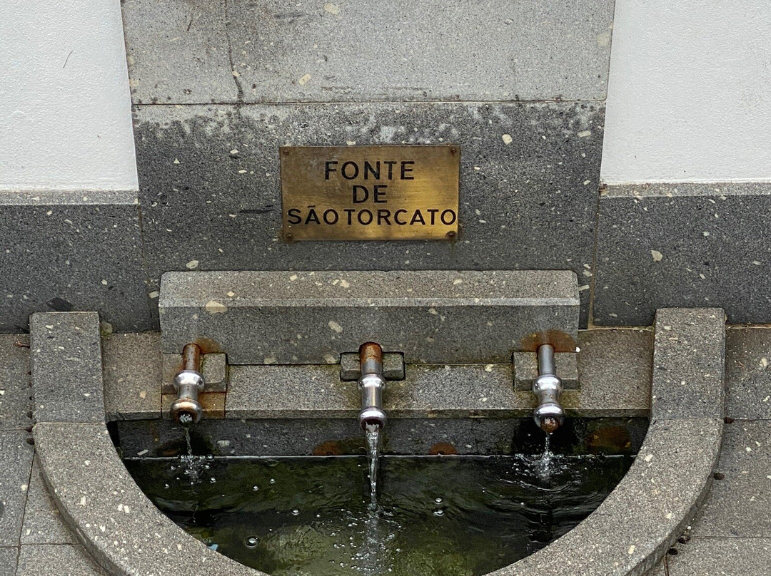 Igreja do Mosteiro de Sao Torcato景点图片