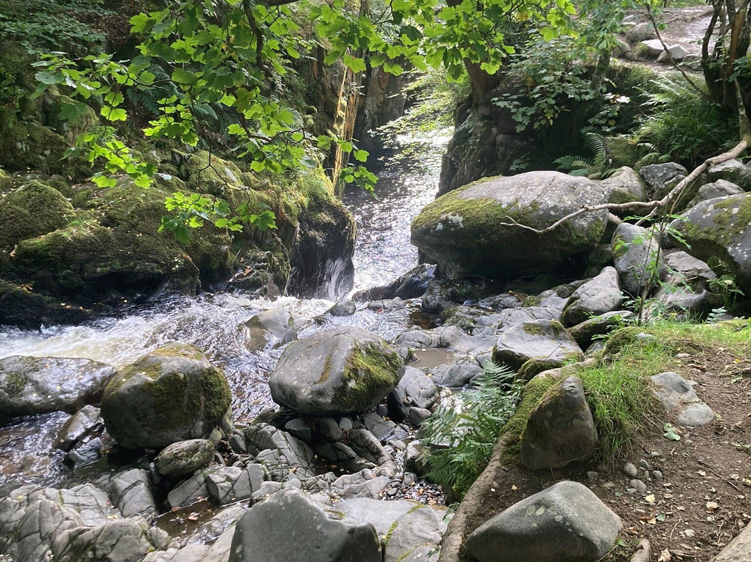 Aira Force景点图片