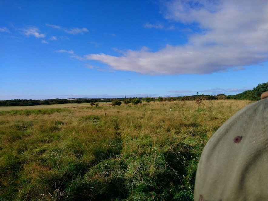 Montrose Golf Links景点图片