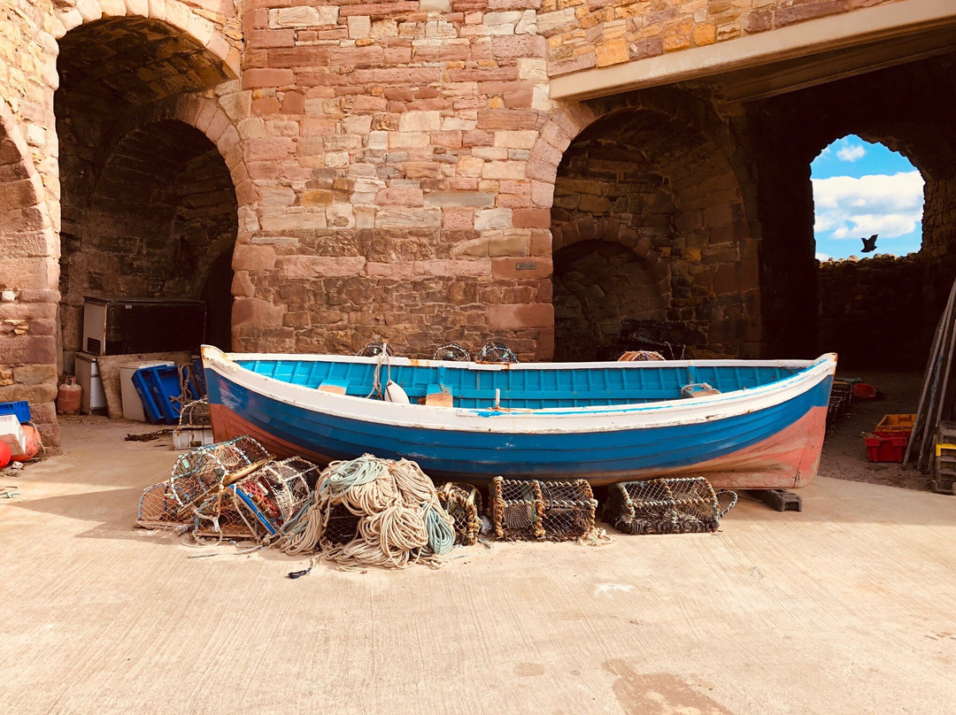 Beadnell Harbour and Lime Kilns景点图片