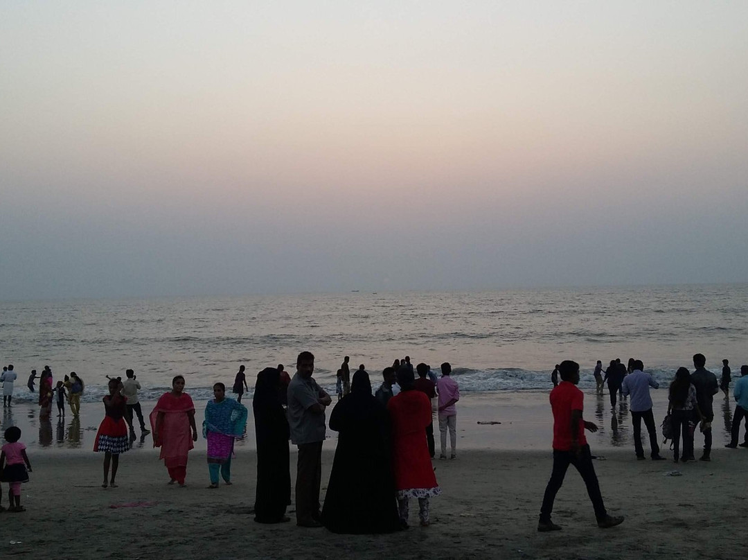 Padinjarekkara Beach景点图片