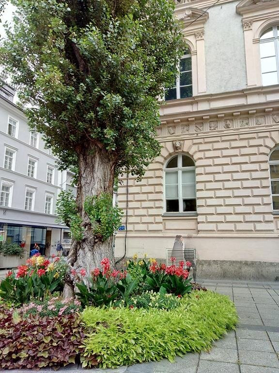 Tyrolean Provincial Museum (Tiroler Landesmuseum Ferdinandeum)-茵斯布鲁克必去景点