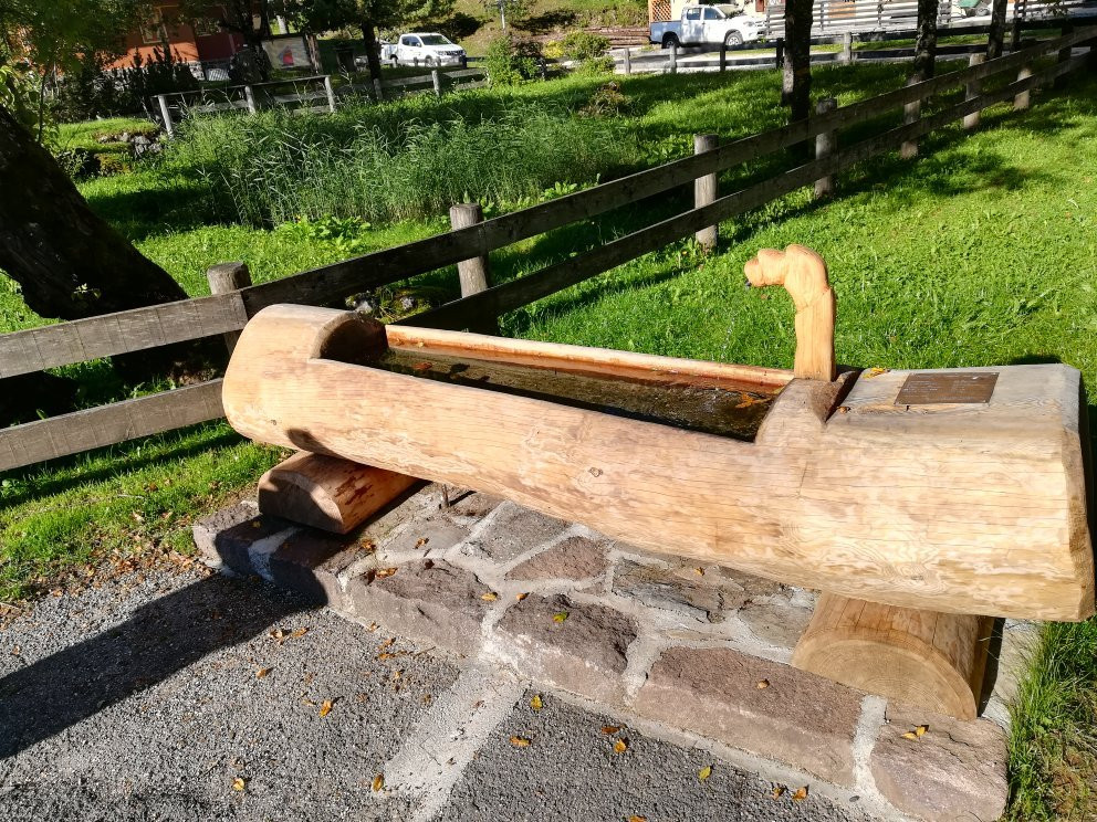 Centro visitatori di Paneveggio景点图片