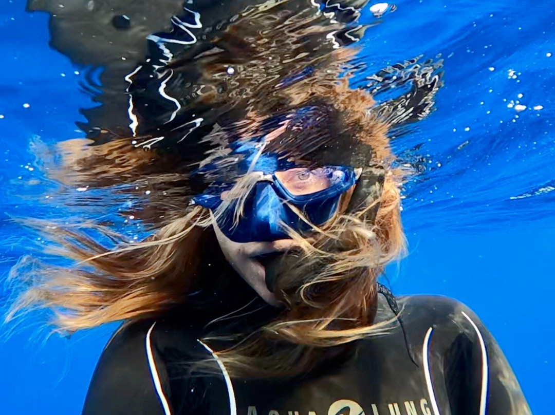 Indigo Dive Mondragó-Cala Mondrago必去景点