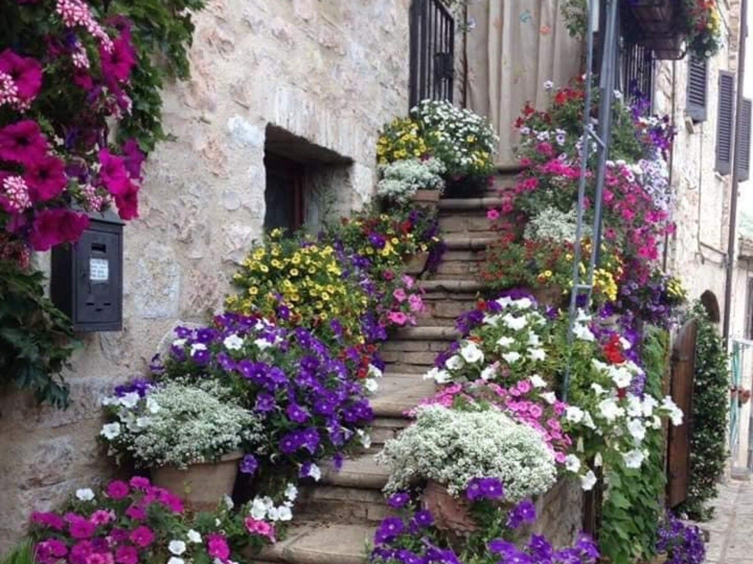 Le Ghiande Bed & Breakfast主图