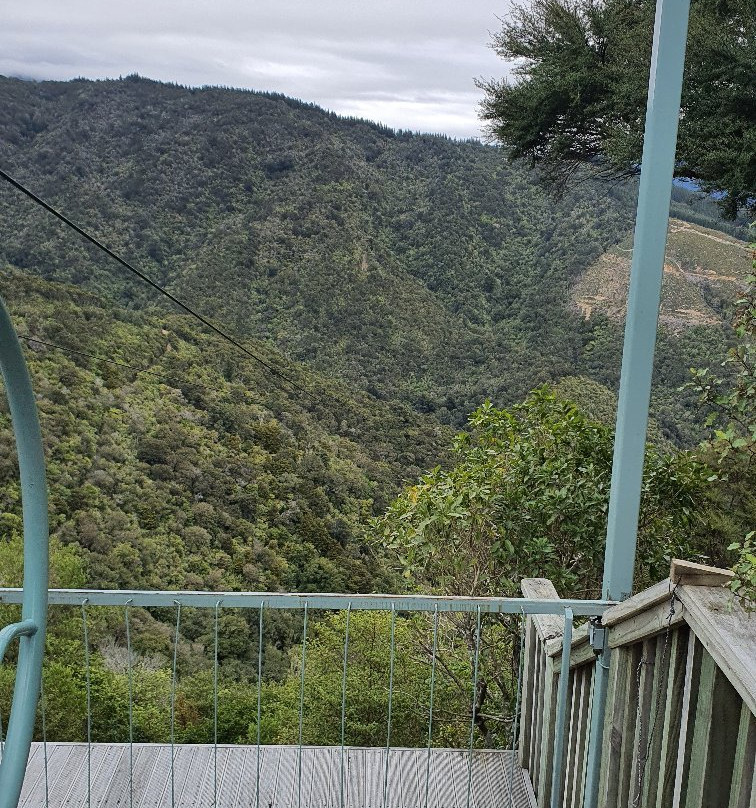 Cable Bay Adventure Park-尼尔森必去景点