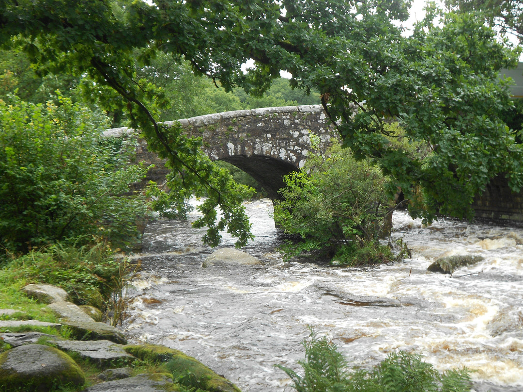 Dartmeet River Junction景点图片