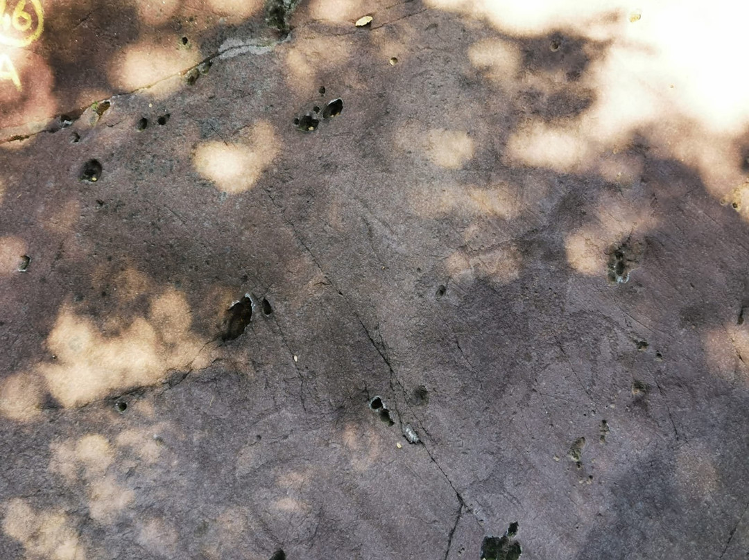 Parco Comunale delle Incisioni Rupestri di Luine景点图片