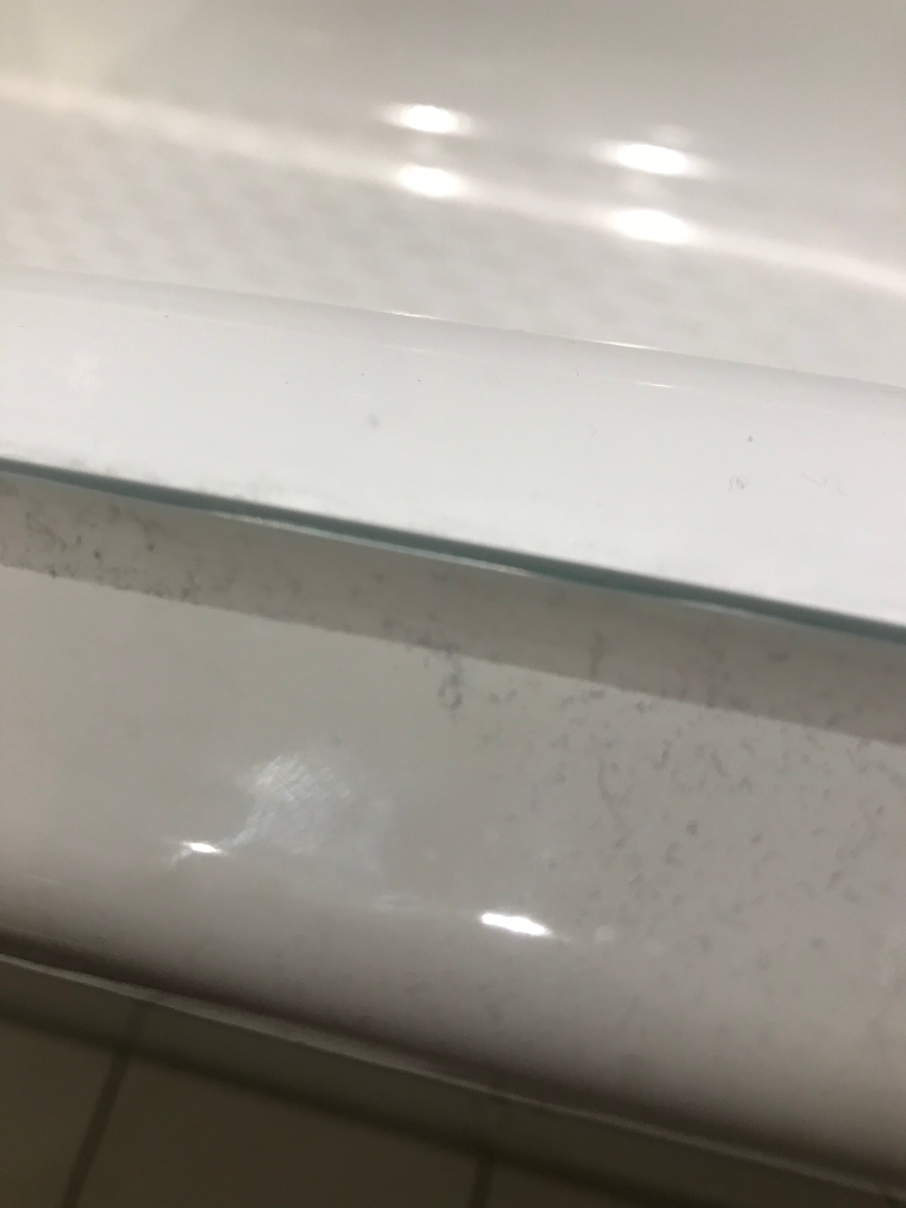 兰茨堡郁金香酒店-浴室