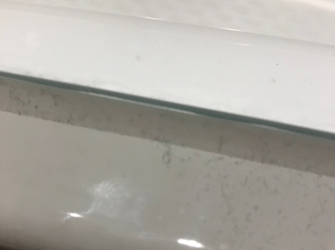 兰茨堡郁金香酒店主图
