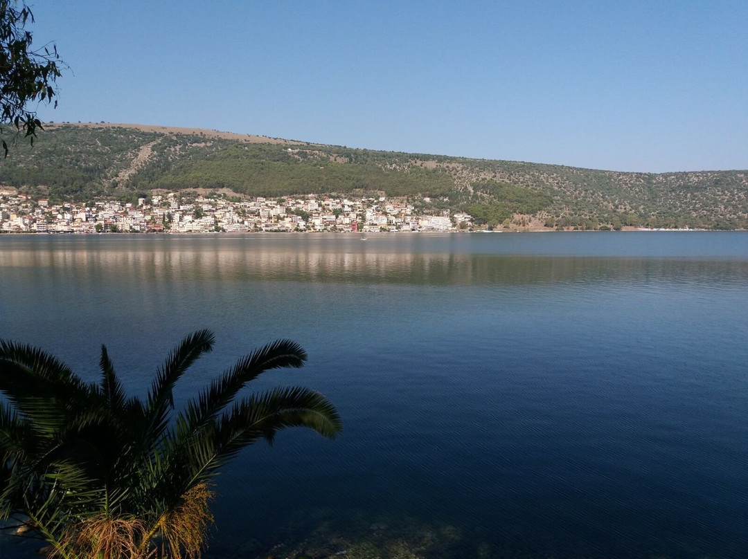 Amfilochia Port-Amfilochia必去景点