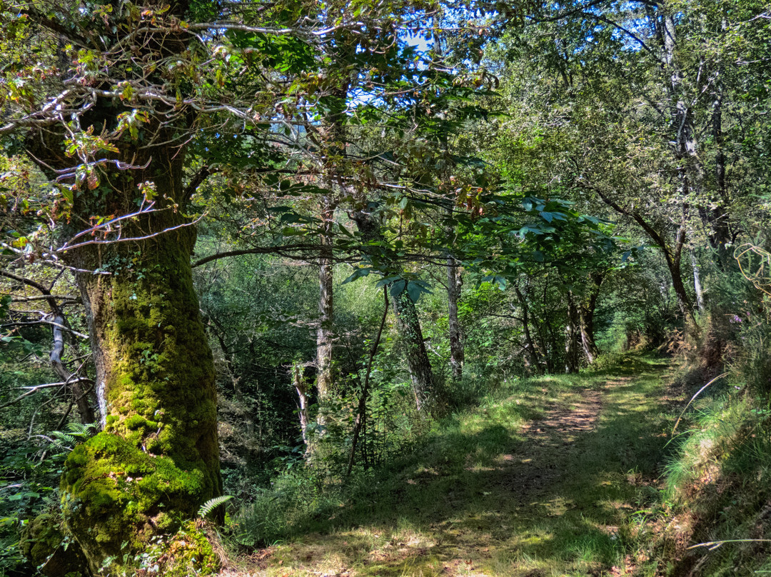 Naturea Cantabria-桑坦德必去景点