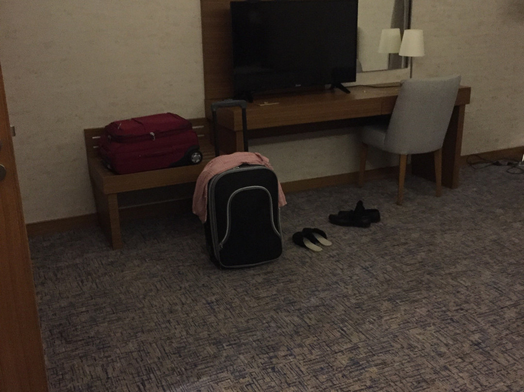 Garden Zara Hotel主图