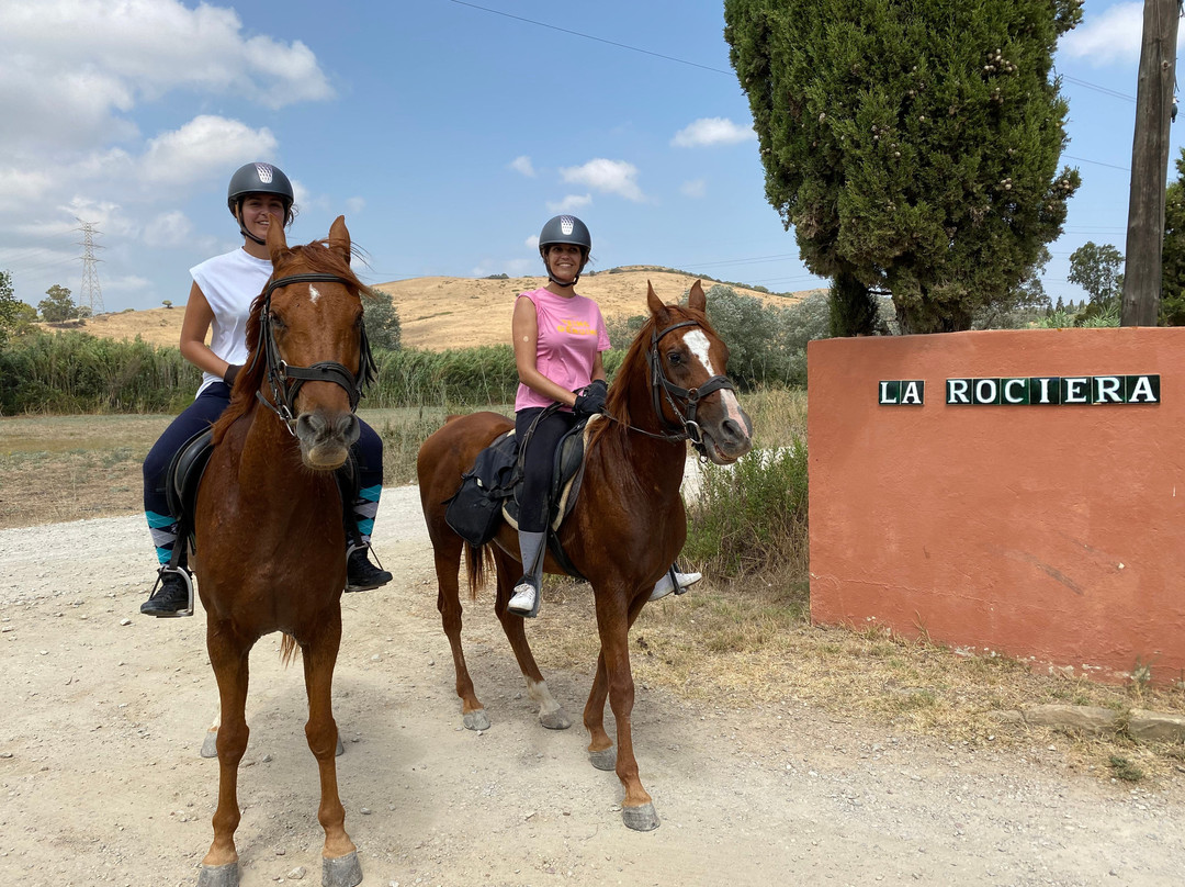 E3 Endurance Equestrian Experience景点图片