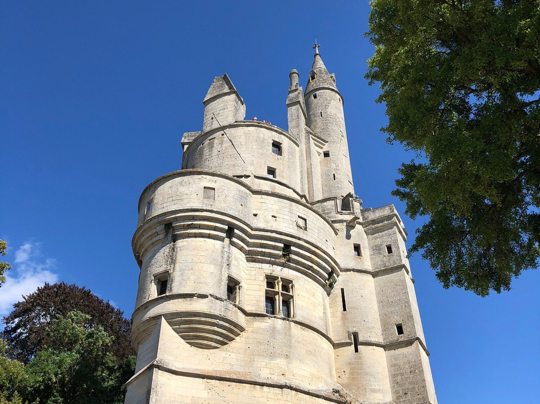 Donjon de Septmonts景点图片