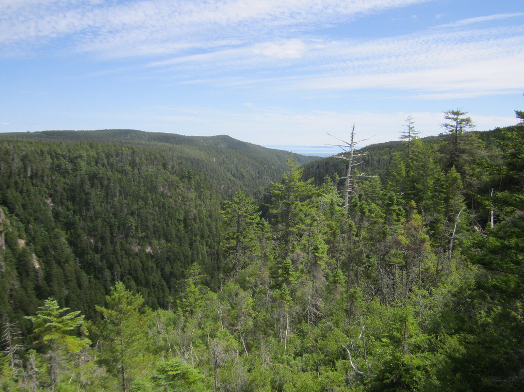 Walton Glen Gorge Falls-St. Martins必去景点