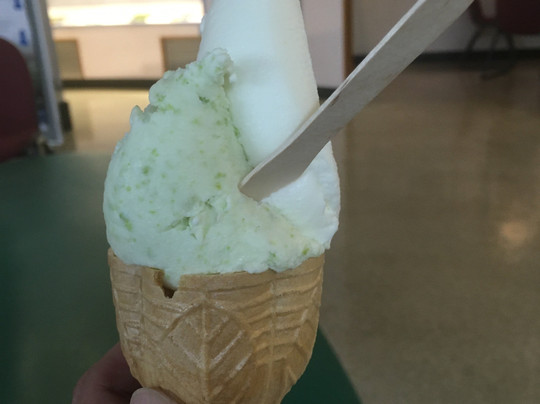 Cherry Land Sagae-寒河江市必去景点