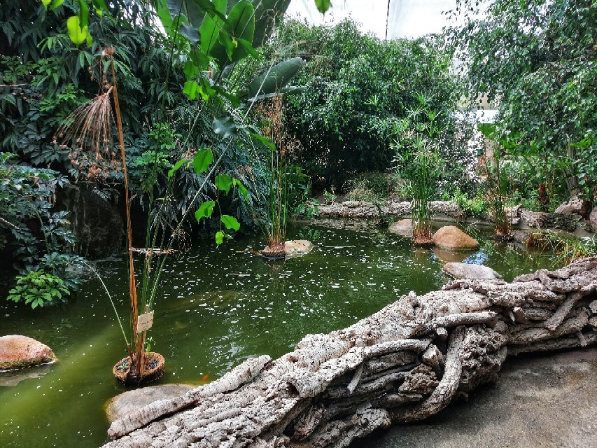 Butterfly House Sardegna-Olmedo必去景点