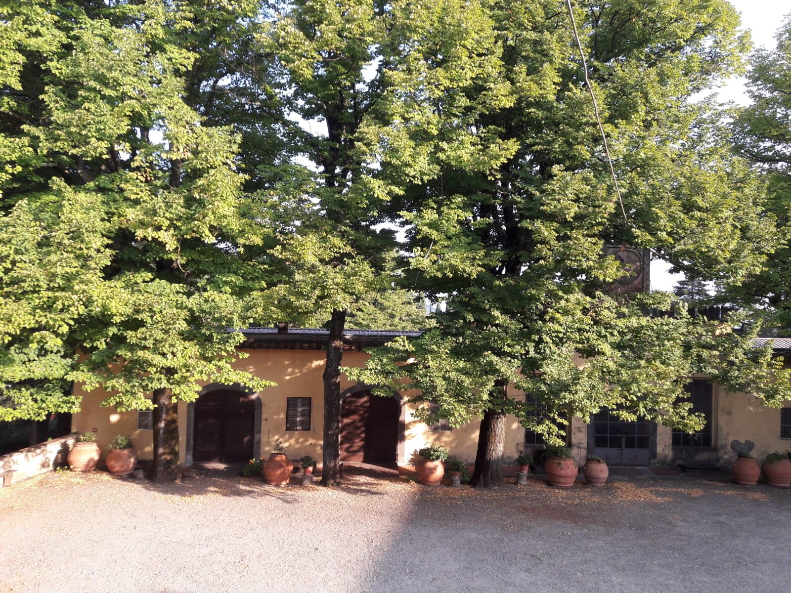 Tenuta di Capezzana-酒店景观