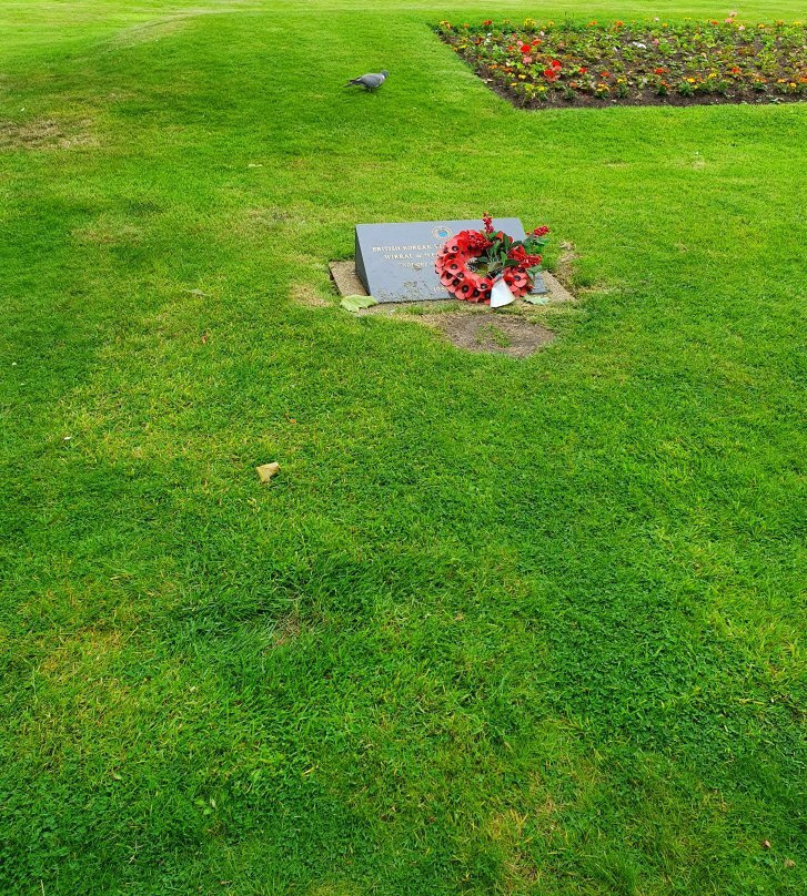 British Korean War Veterans Memorial景点图片