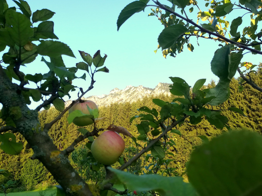 St. Leonhard旅游攻略图片
