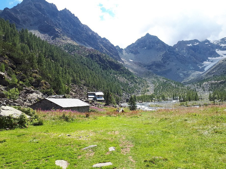 Rifugio Ventina - Day Excursions景点图片