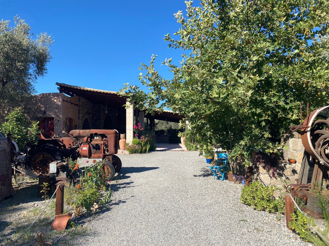 Olive Oil Factory景点图片
