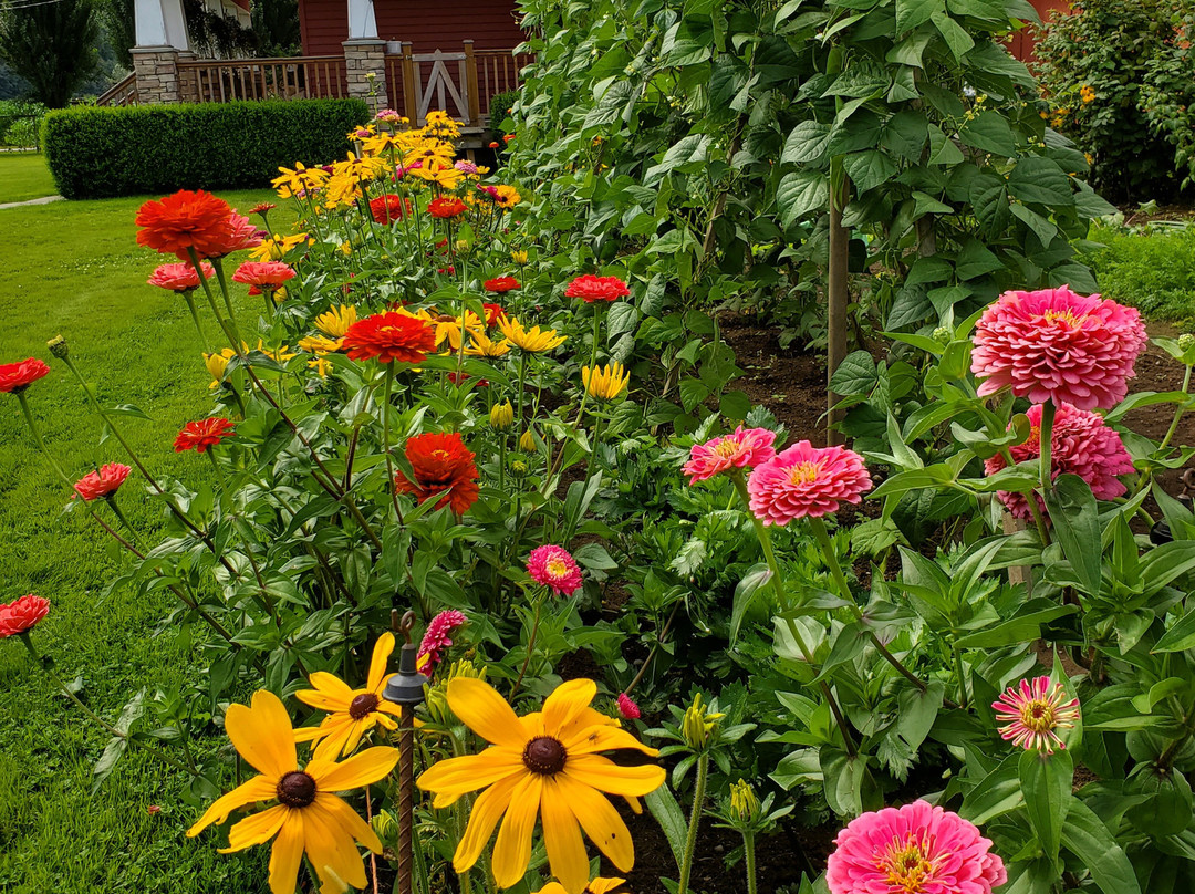 Blackberry Lane Bed and Breakfast主图