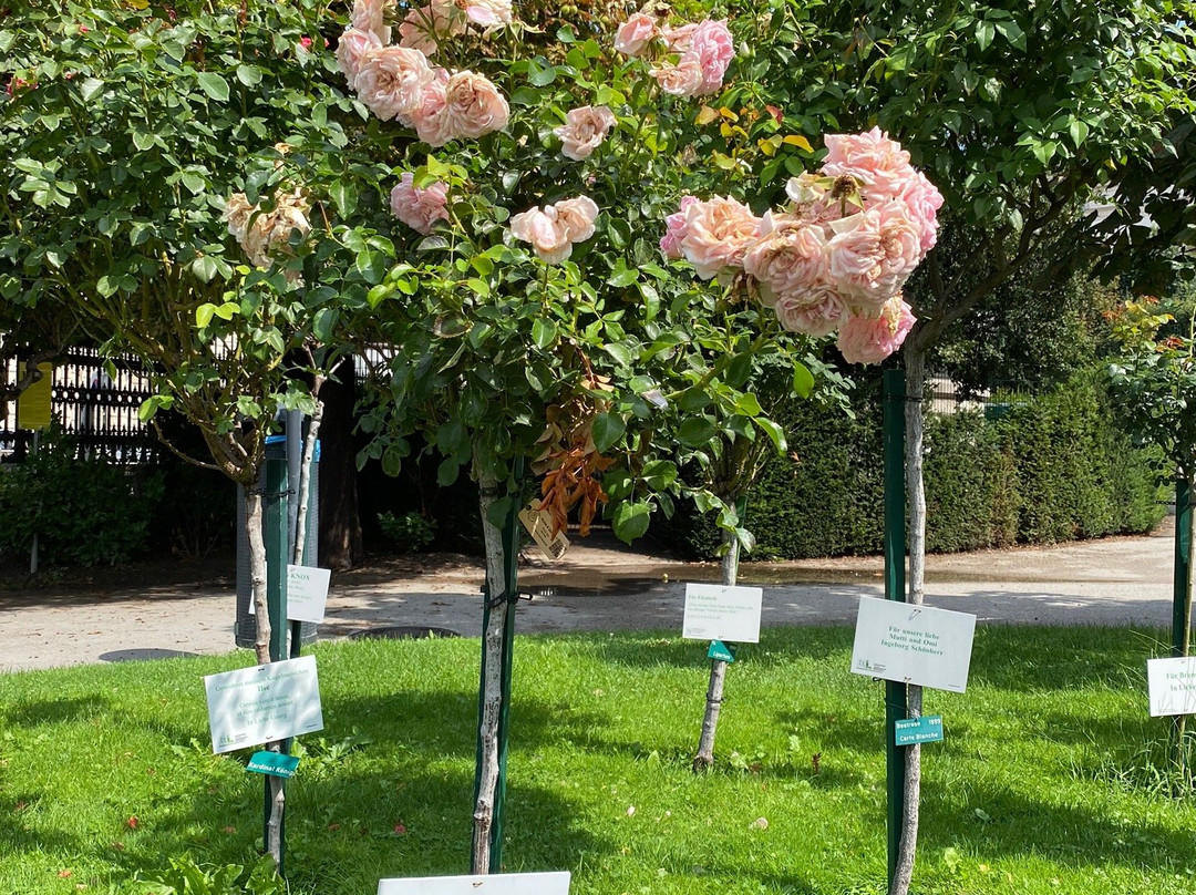 Mario Casalone - MarioViennaGuide-维也纳必去景点