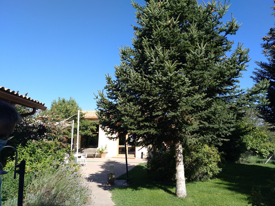 Aparthotel Biosostenible Jardin del Rio Cuervo主图