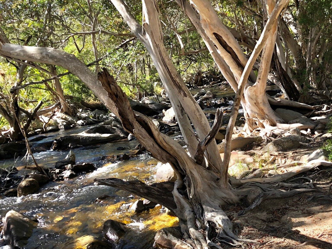 Emerald Creek Falls-马里巴必去景点