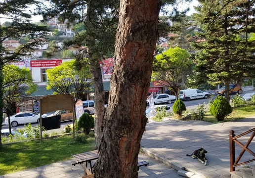 Aluçdağ Lokantası主图