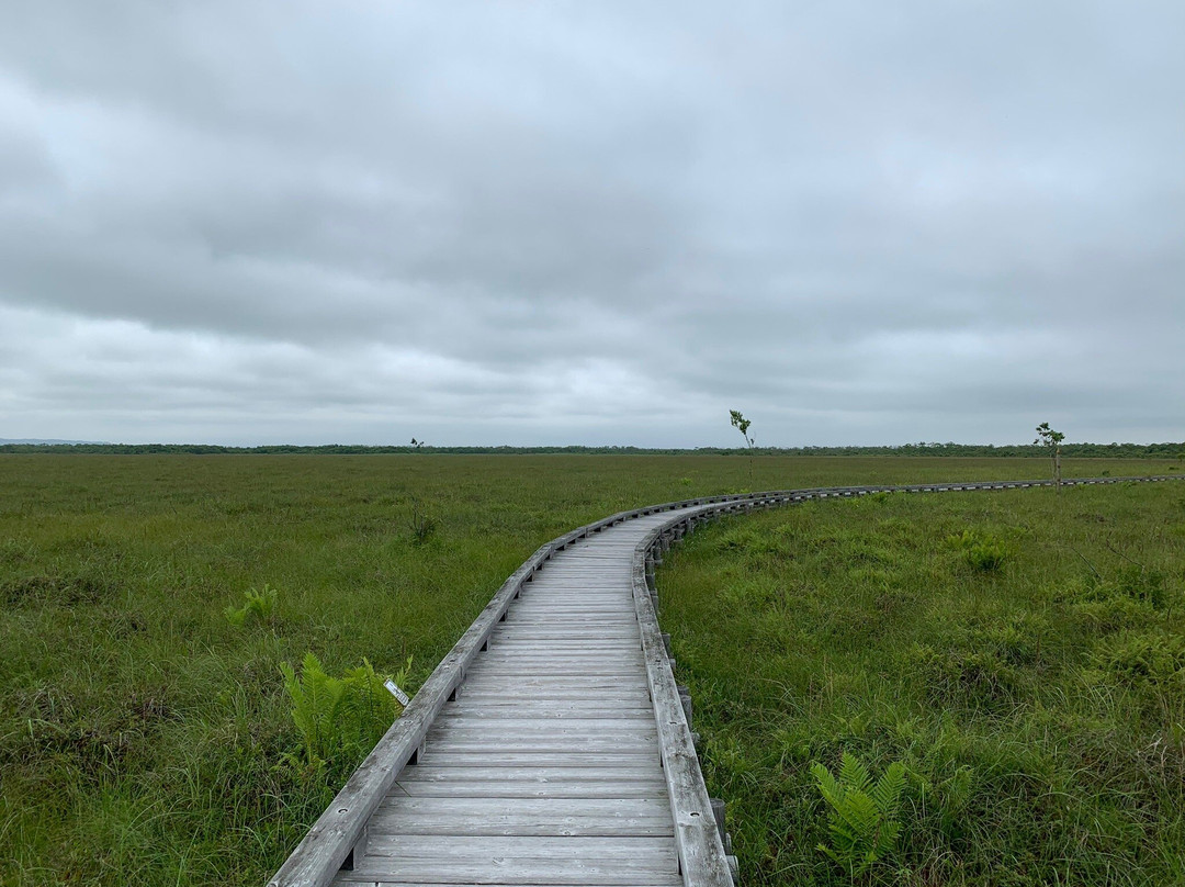 Onnenai Boardwalk-鹤居村必去景点