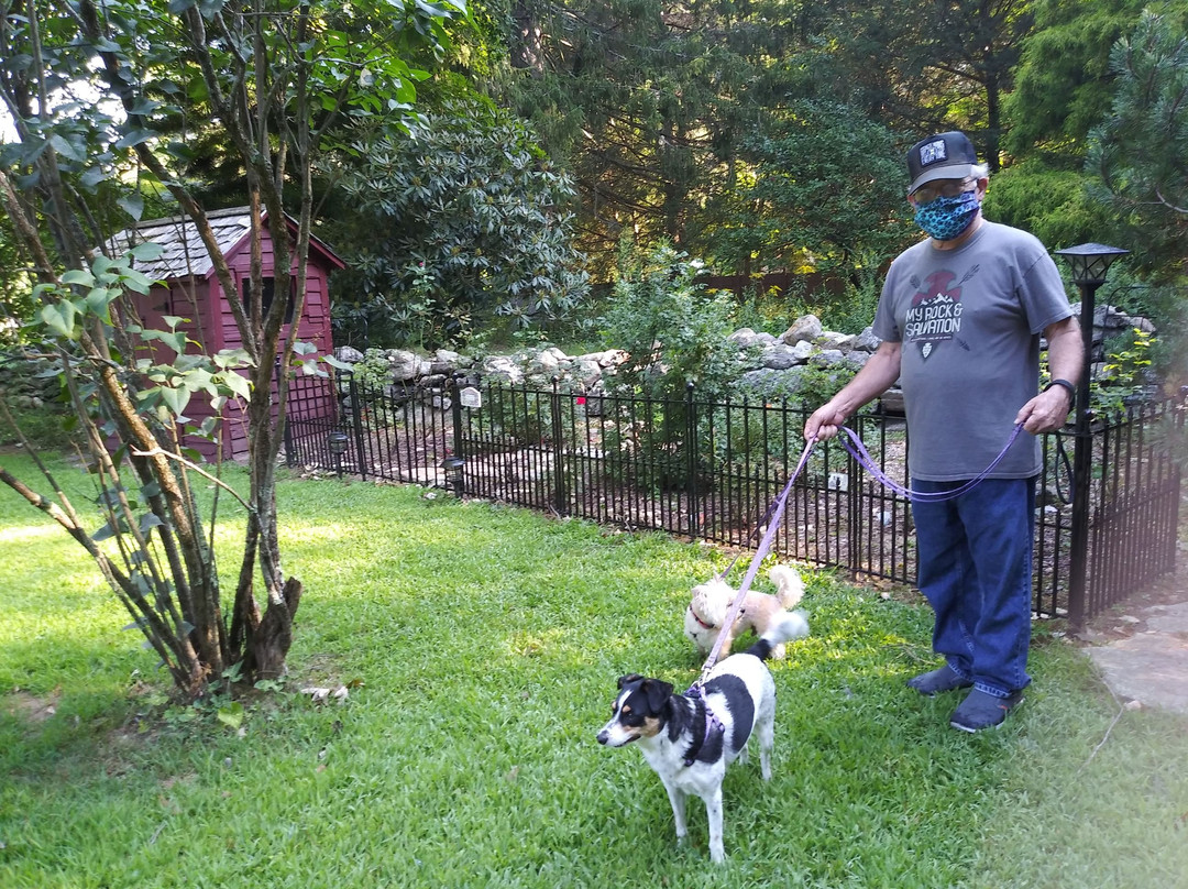 The Daniel Rust House Bed and Breakfast主图