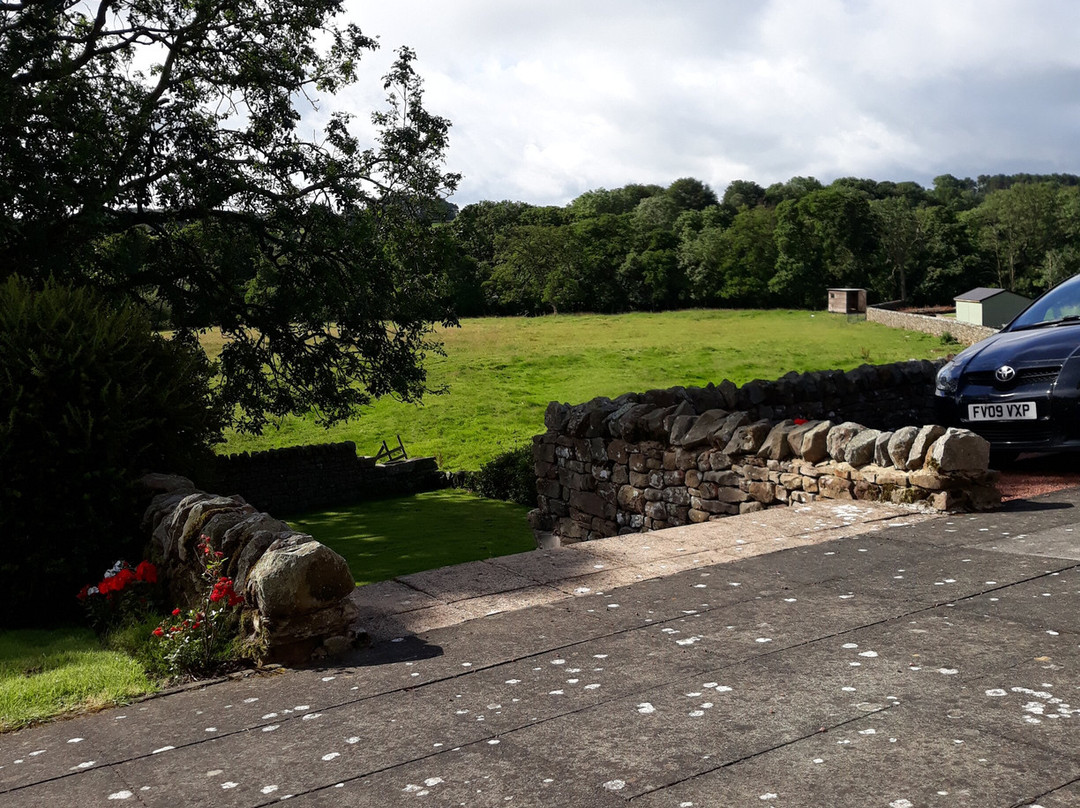 Yellow House Farm主图