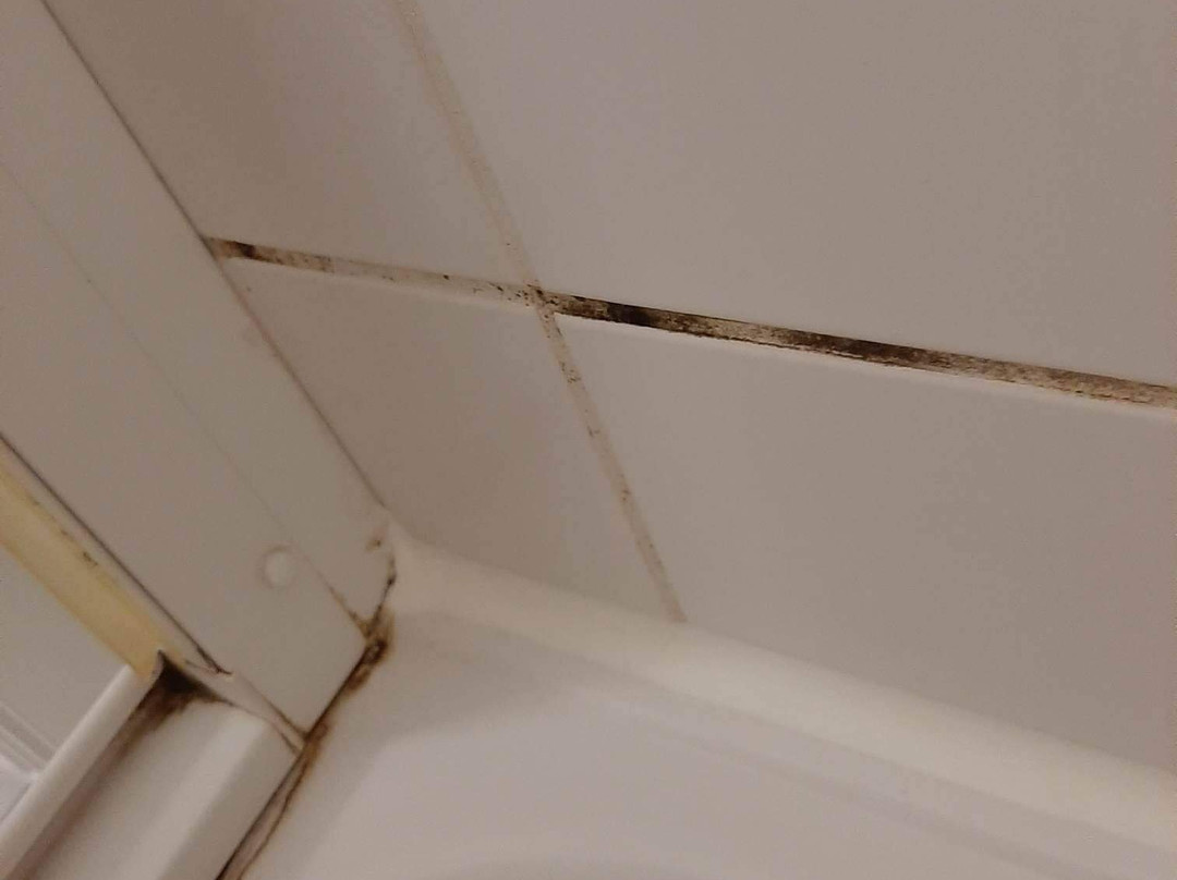 布莱梅翰希蒂克美居酒店主图