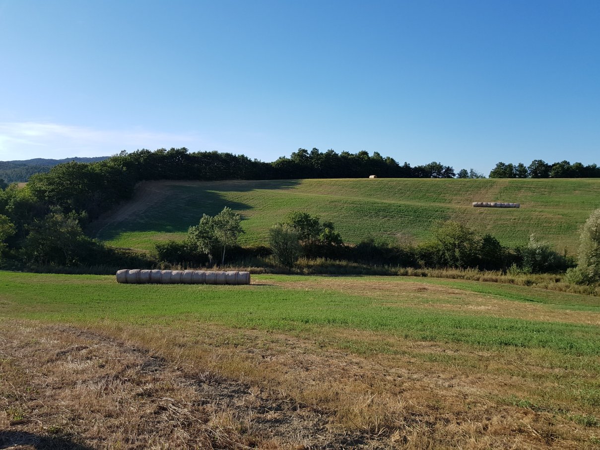 卡萨莱瑞佛里乡村民宿-浴室