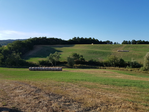 卡萨莱瑞佛里乡村民宿主图