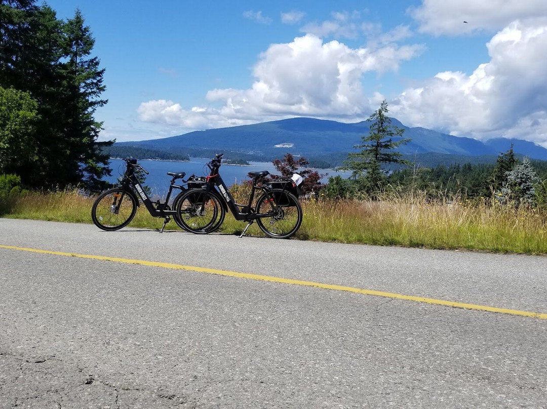 Bowen eBikes景点图片