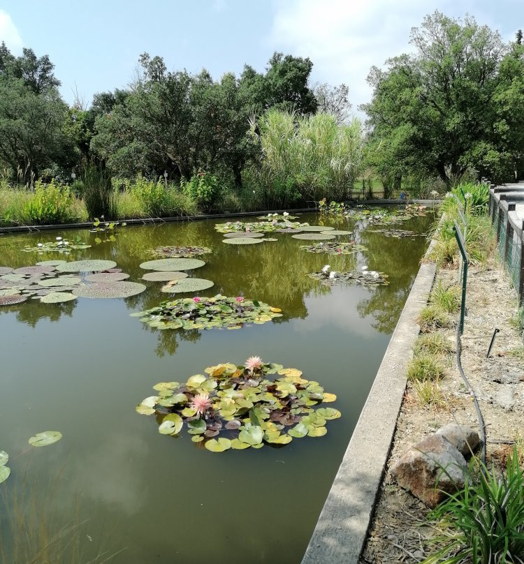 L'Arboretum景点图片