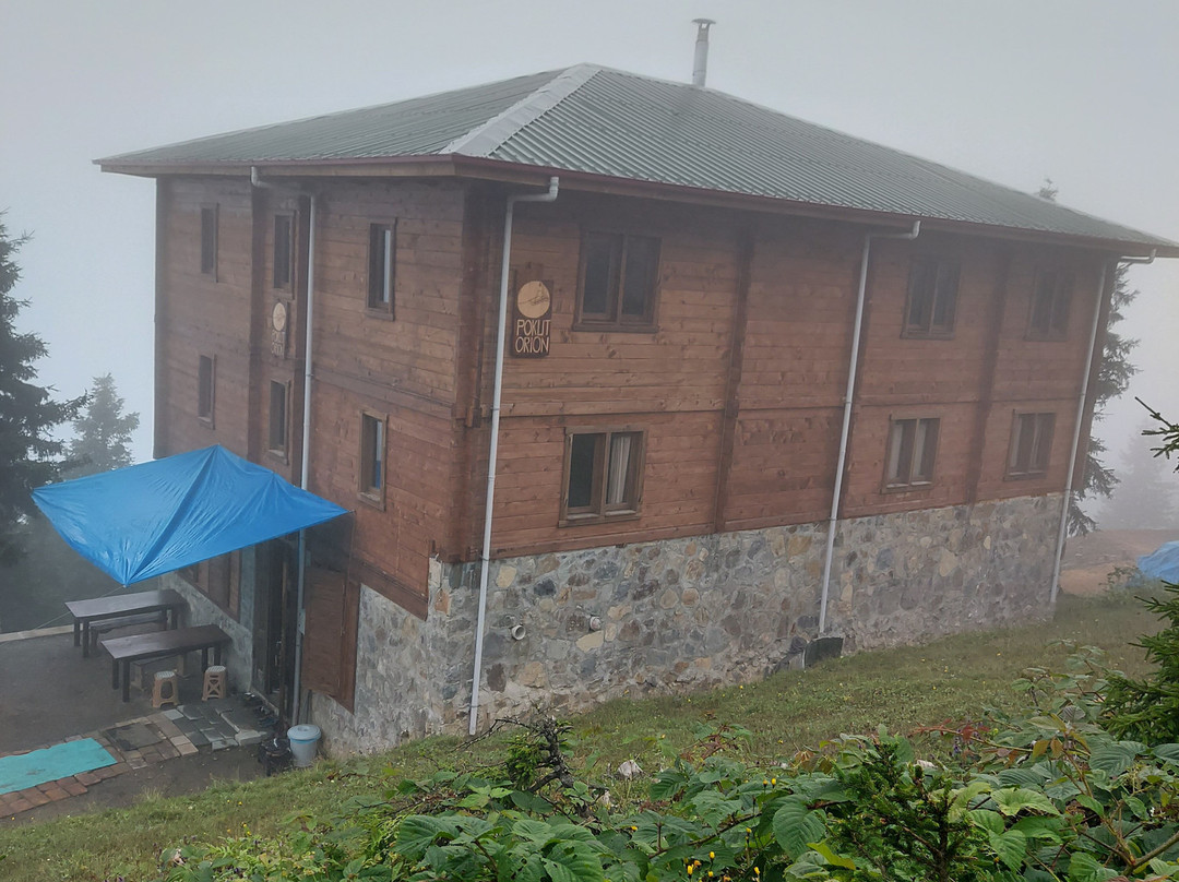Pokut Orion主图