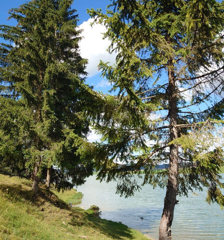 Lac des Taillères-La Brevine必去景点