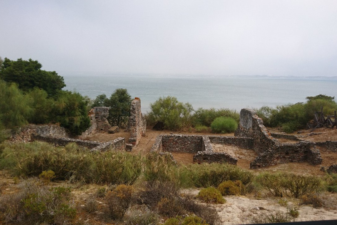 Roman Ruins of Troia景点图片