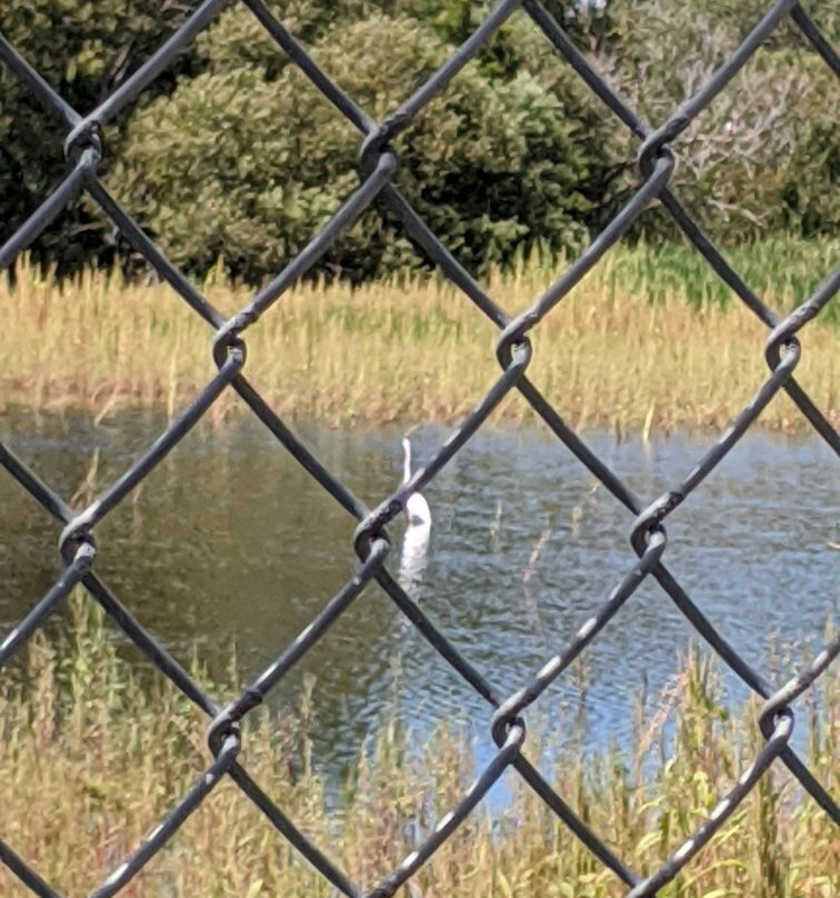 Ollie's Pond Park-夏洛特港必去景点