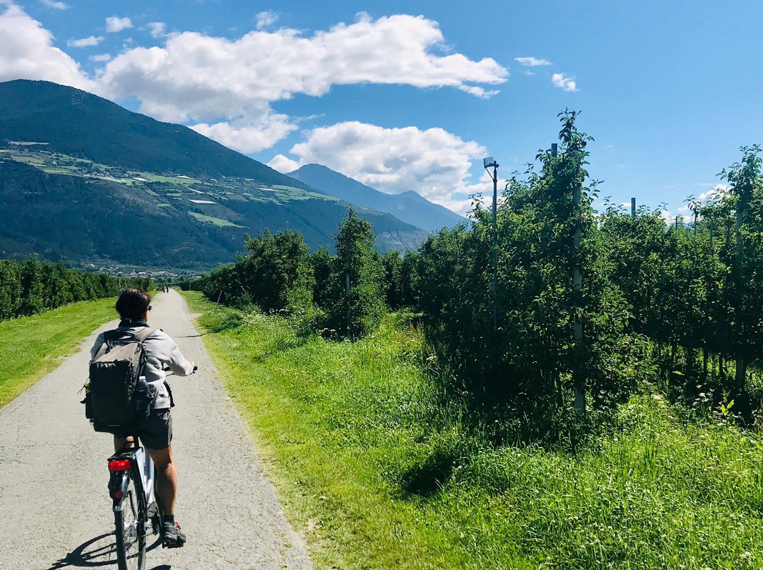 Pista Ciclabile della Val Venosta景点图片