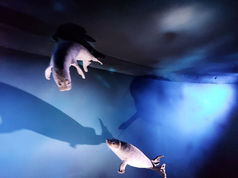 Natuurmuseum Fryslan-吕伐登必去景点